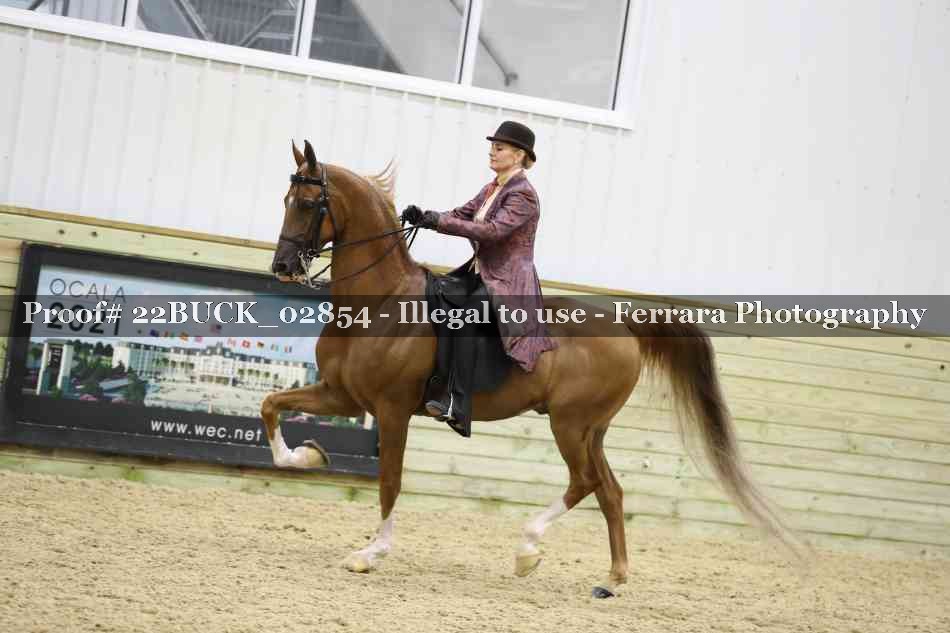 Proof 22BUCK_02854