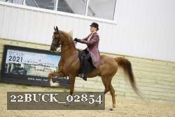 22BUCK_02854 proof