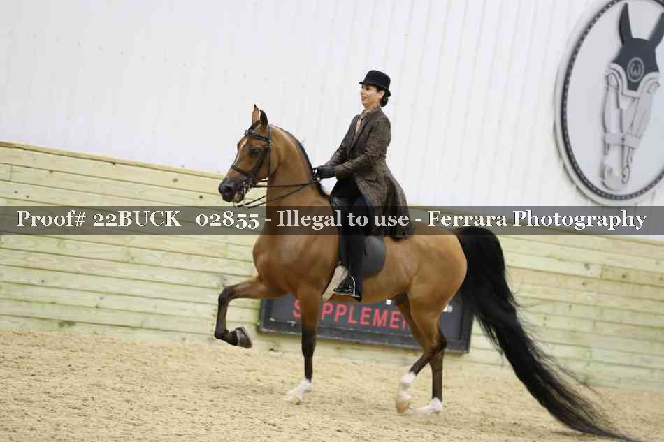 Proof 22BUCK_02855
