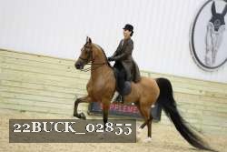 22BUCK_02855 proof