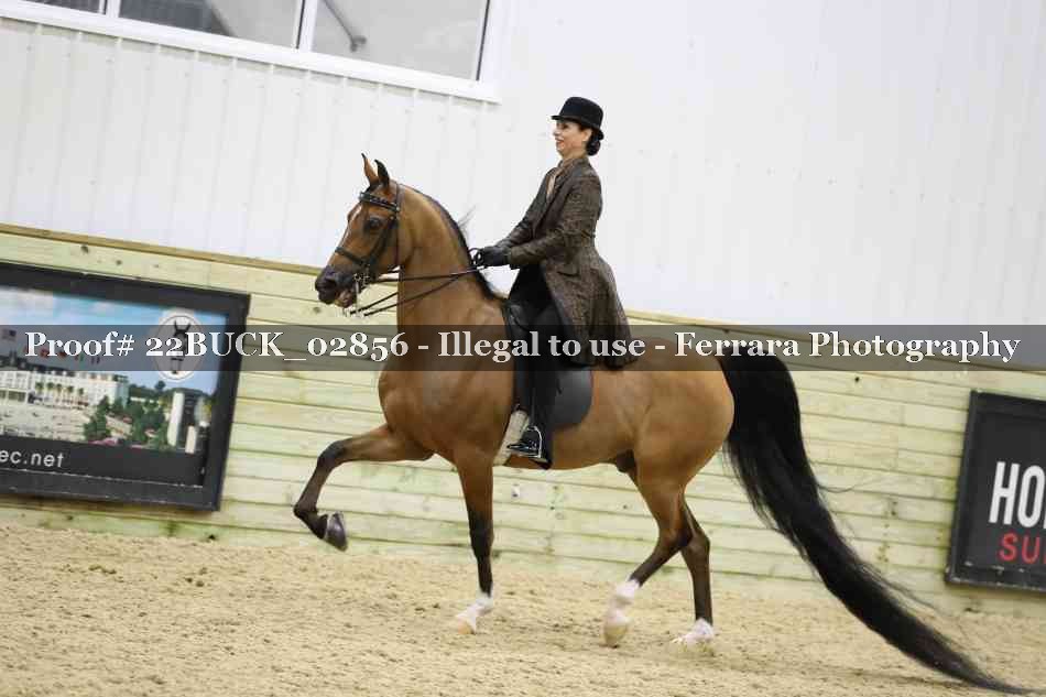 Proof 22BUCK_02856
