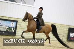 22BUCK_02856 proof