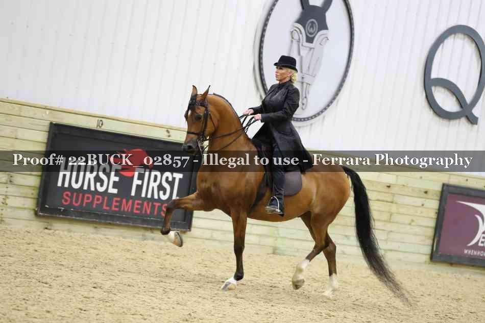 Proof 22BUCK_02857