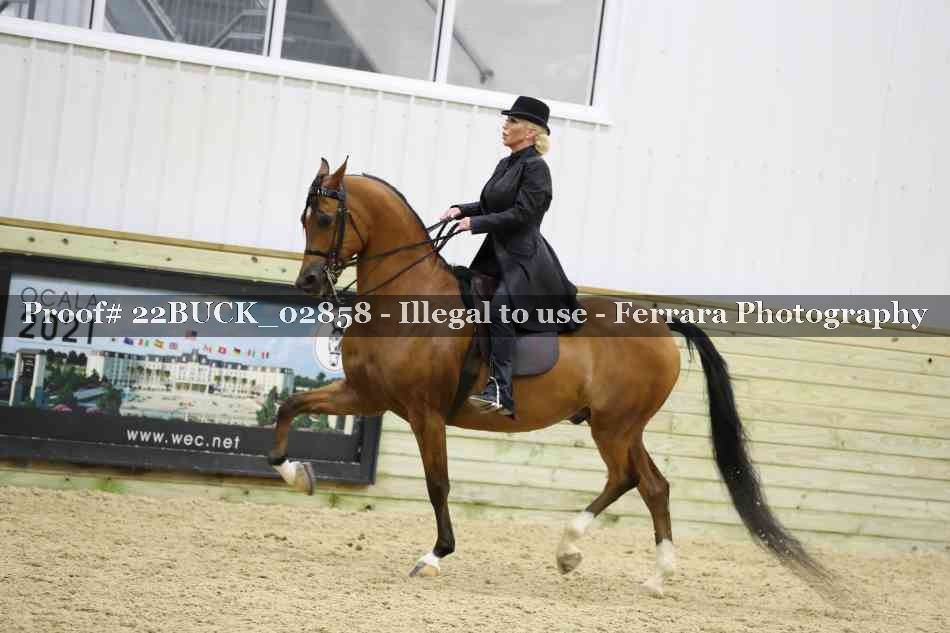 Proof 22BUCK_02858