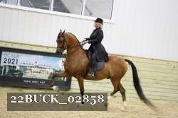 22BUCK_02858 proof