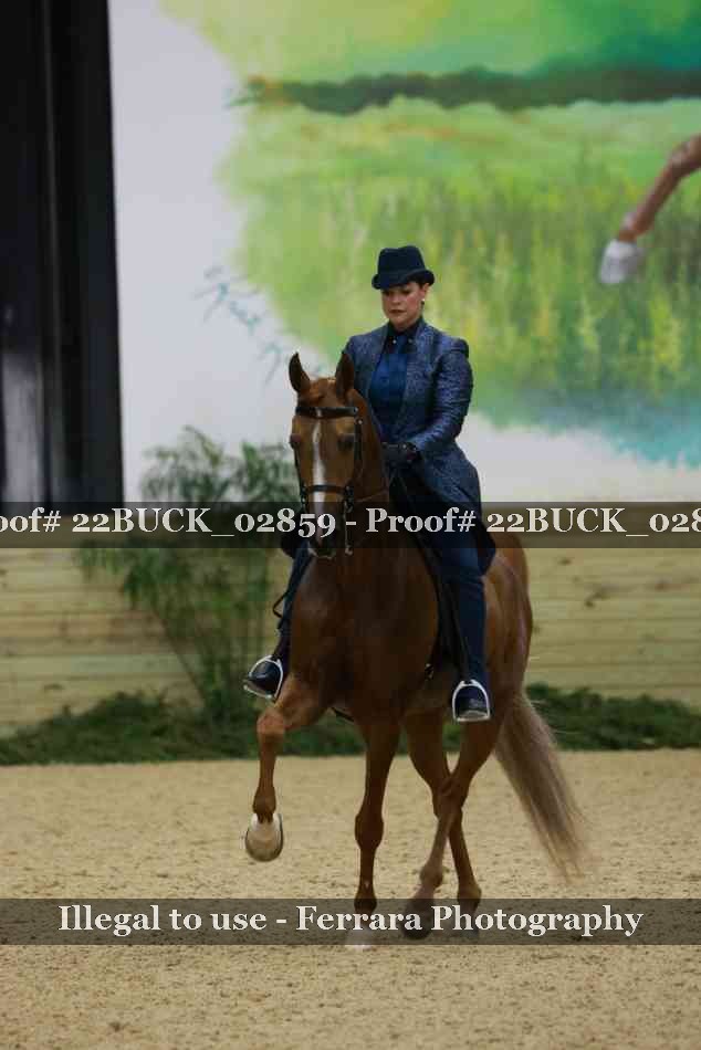 Proof 22BUCK_02859