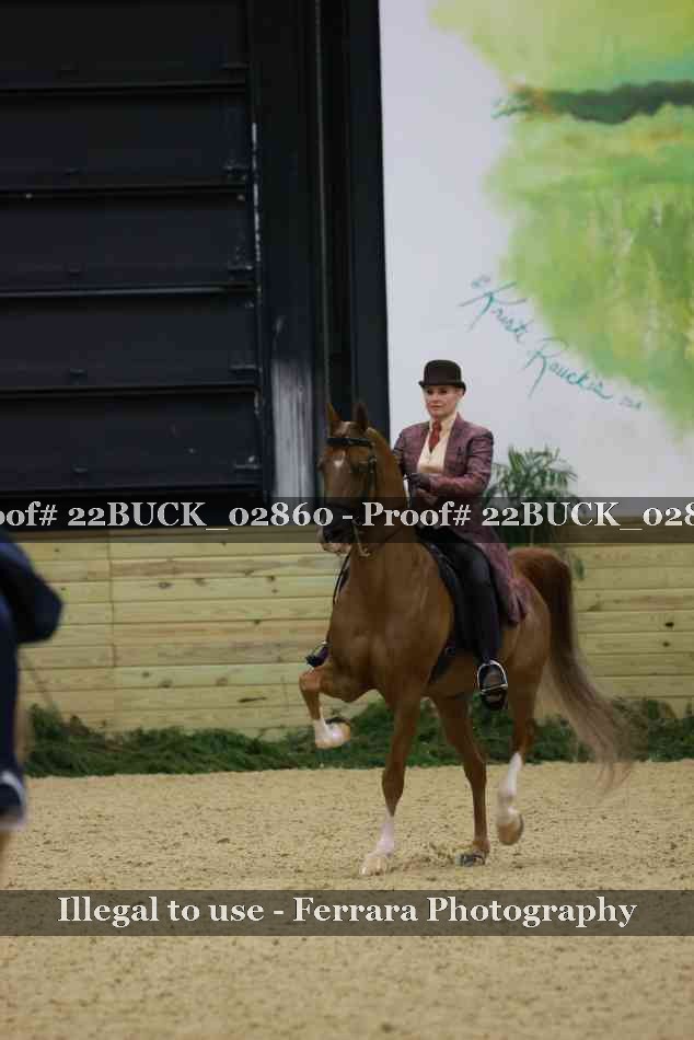 Proof 22BUCK_02860