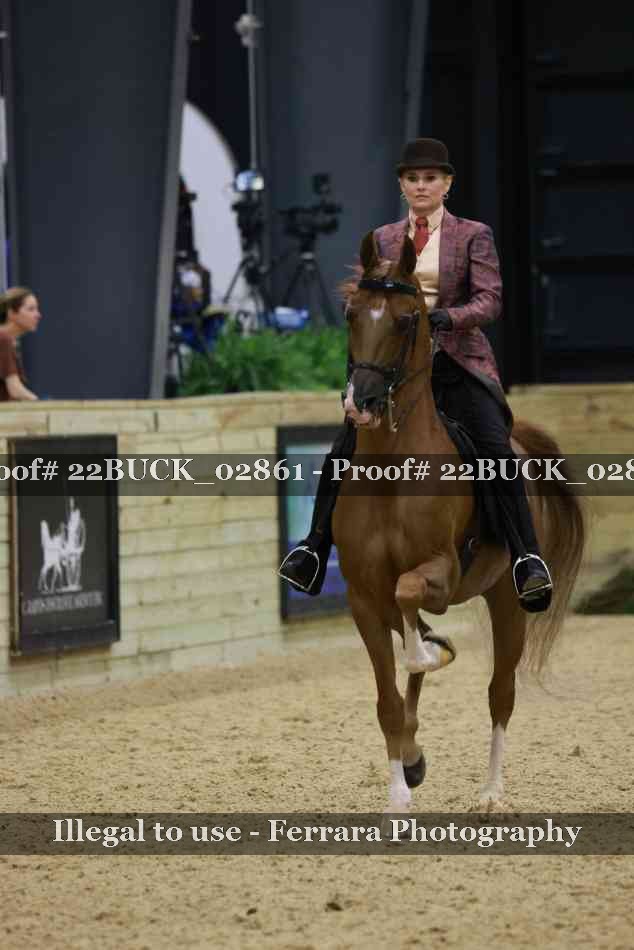 Proof 22BUCK_02861