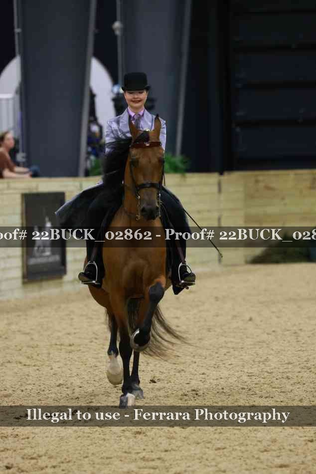 Proof 22BUCK_02862