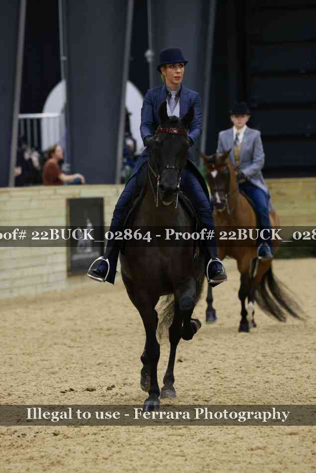 Proof 22BUCK_02864