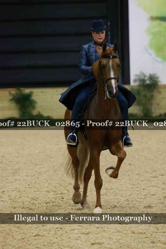 Proof 22BUCK_02865