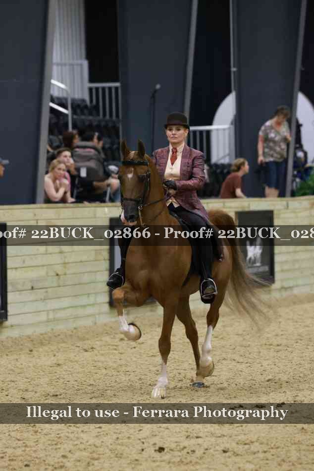 Proof 22BUCK_02866