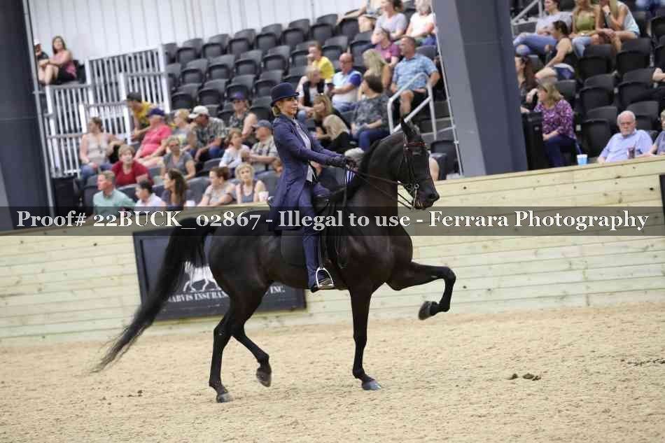 Proof 22BUCK_02867