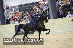 22BUCK_02867 proof