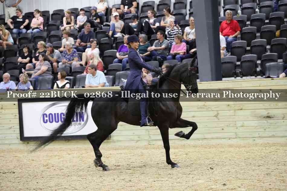 Proof 22BUCK_02868