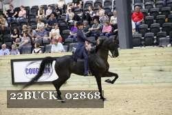 22BUCK_02868 proof