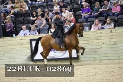 22BUCK_02869 proof
