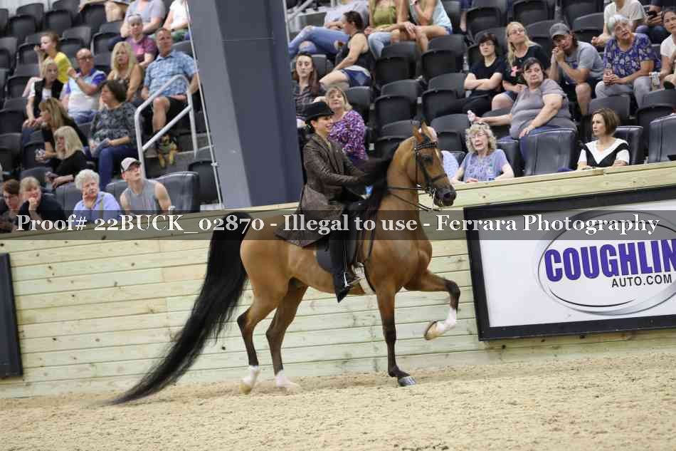 Proof 22BUCK_02870