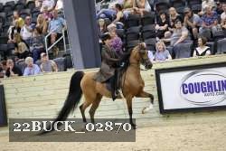 22BUCK_02870 proof