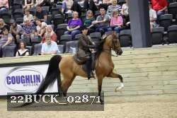 22BUCK_02871 proof