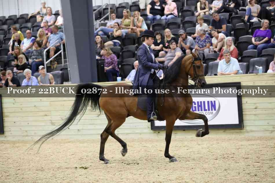 Proof 22BUCK_02872