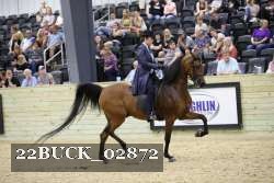 22BUCK_02872 proof