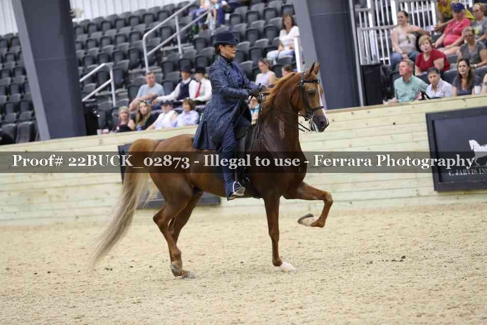 Proof 22BUCK_02873