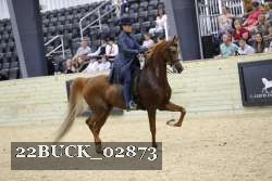 22BUCK_02873 proof