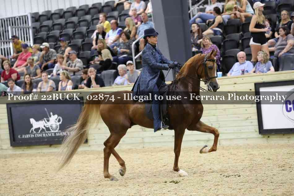 Proof 22BUCK_02874
