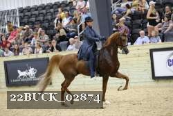 22BUCK_02874 proof