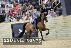 22BUCK_02875 proof