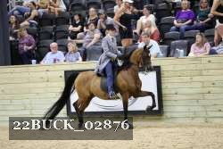 22BUCK_02876 proof