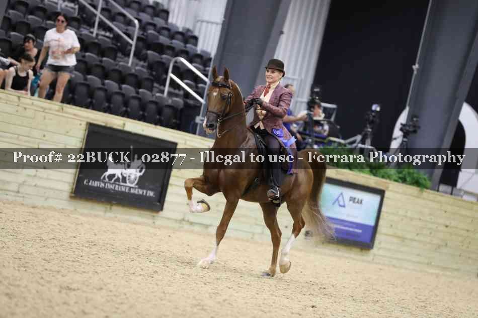Proof 22BUCK_02877