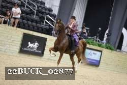 22BUCK_02877 proof