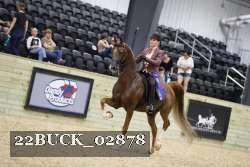 22BUCK_02878 proof