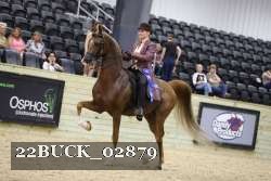 22BUCK_02879 proof