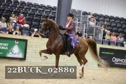 22BUCK_02880 proof
