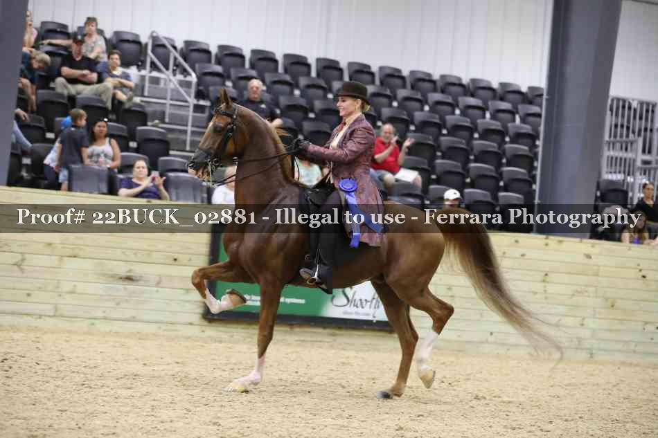 Proof 22BUCK_02881