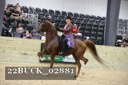 22BUCK_02881 proof