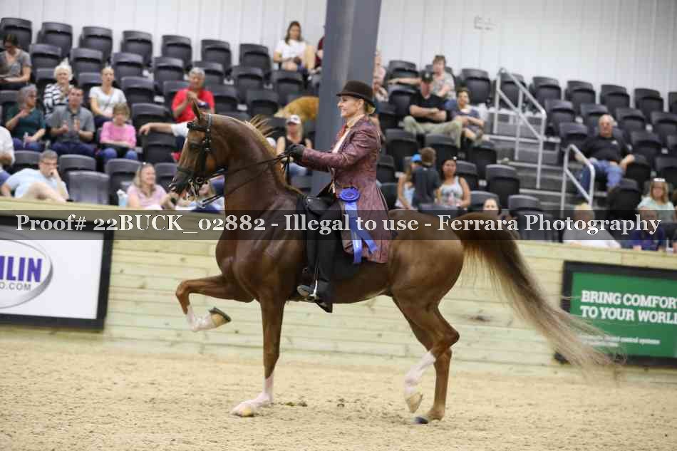 Proof 22BUCK_02882