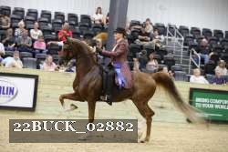 22BUCK_02882 proof