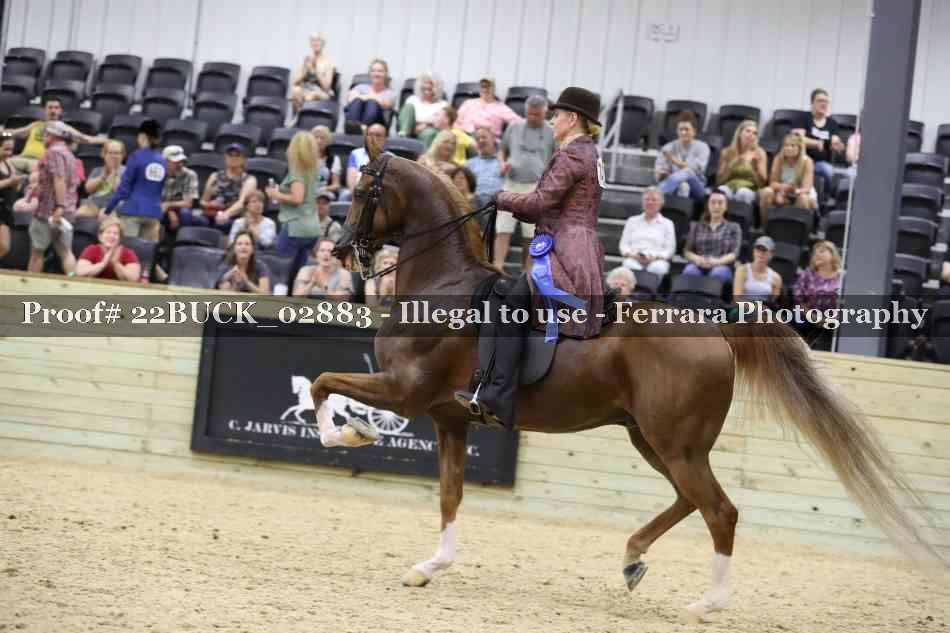 Proof 22BUCK_02883