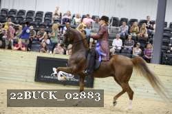 22BUCK_02883 proof