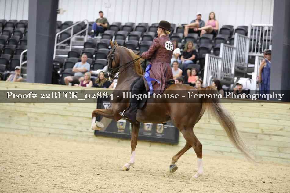 Proof 22BUCK_02884