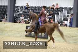 22BUCK_02884 proof
