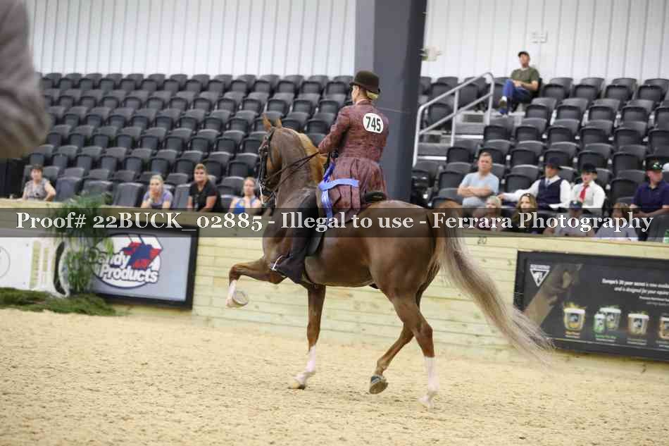 Proof 22BUCK_02885