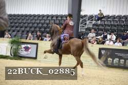 22BUCK_02885 proof