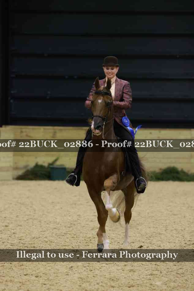 Proof 22BUCK_02886