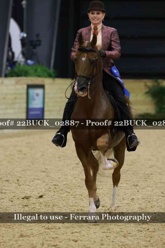 Proof 22BUCK_02887