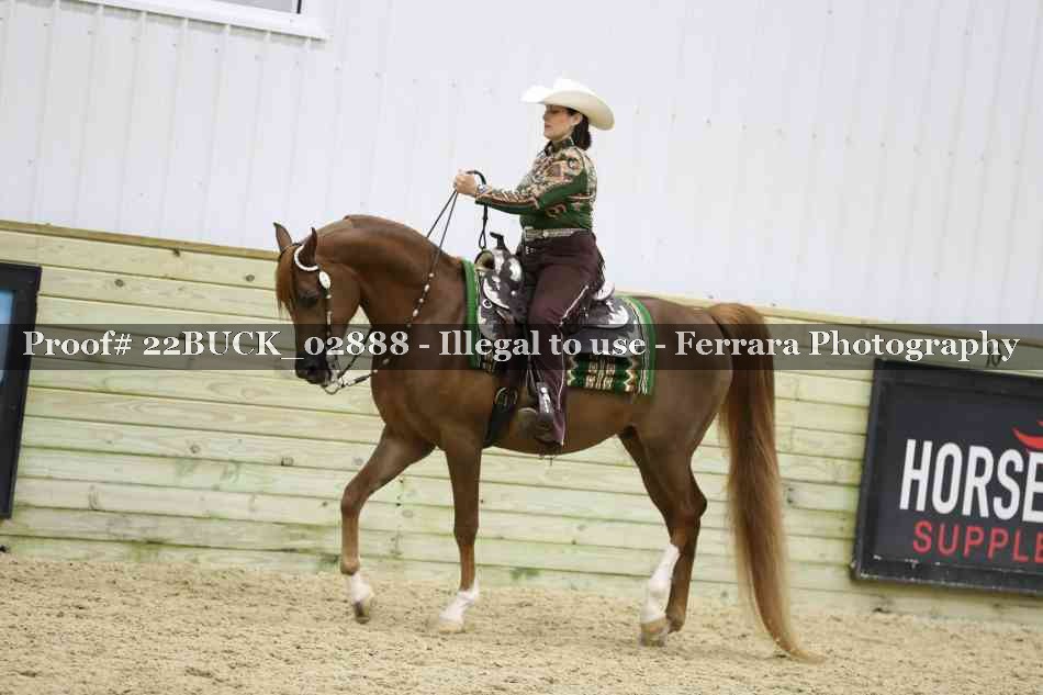 Proof 22BUCK_02888